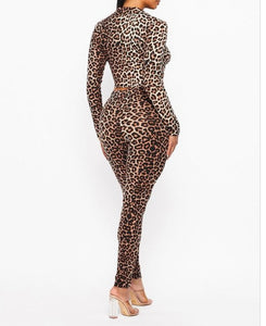 Hot Leopard